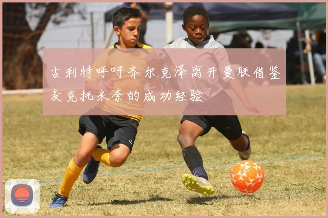 古利特呼吁齐尔克泽离开曼联借鉴麦克托米奈的成功经验